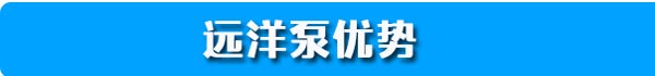 远洋泵优势
